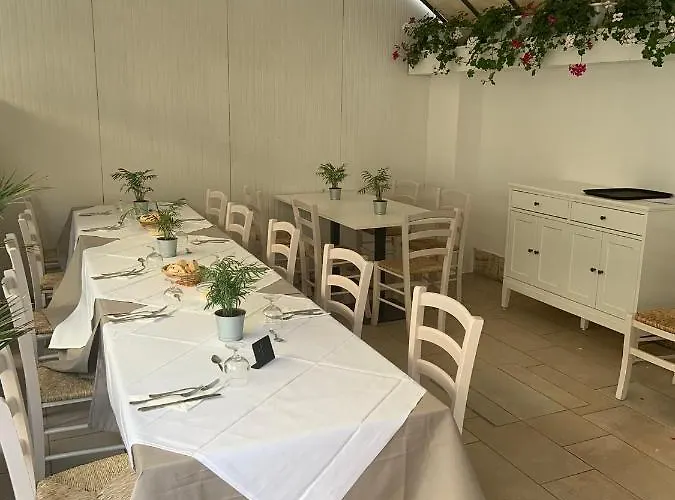 Maracaibo רימיני